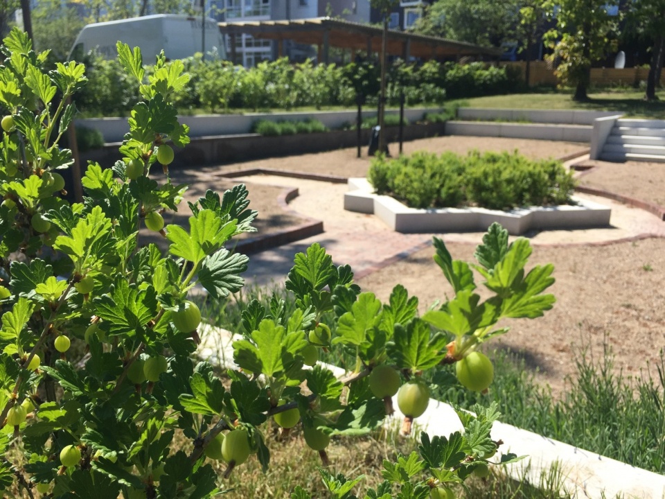 Climate Adaptation Kokkedal Urban Playground by Schonherr
