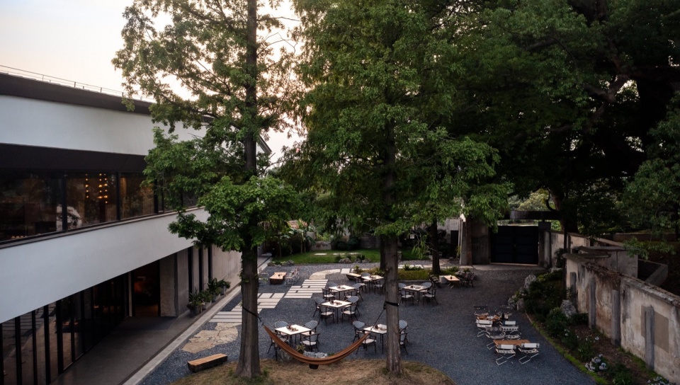 Five Camphor Courtyard