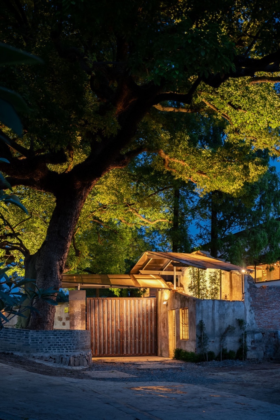 Five Camphor Courtyard