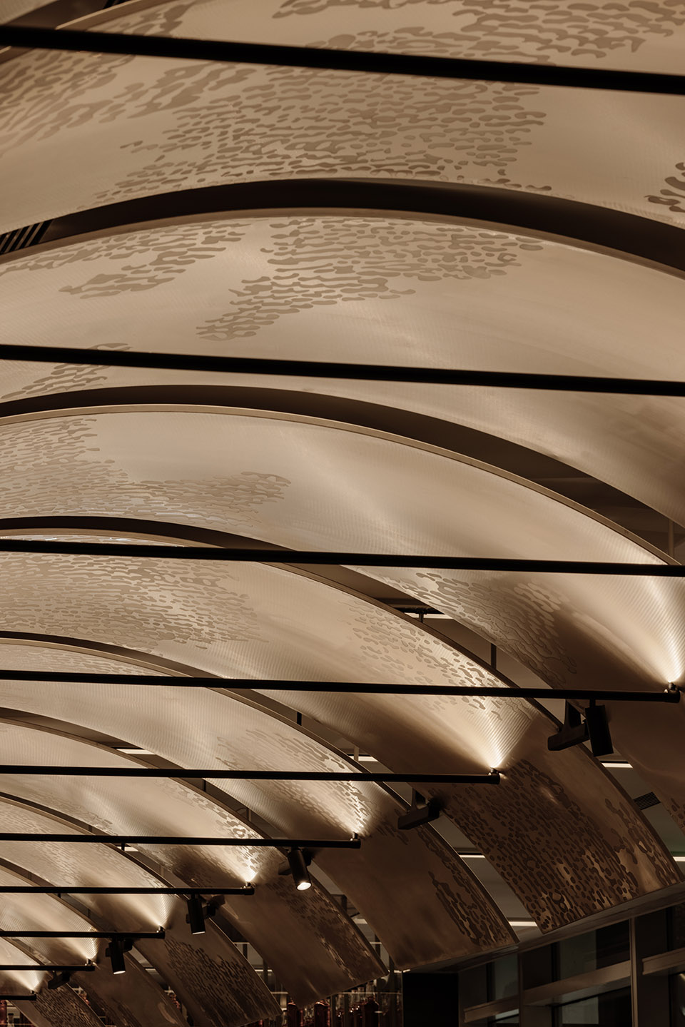 shanghai lawry by roomoo practice