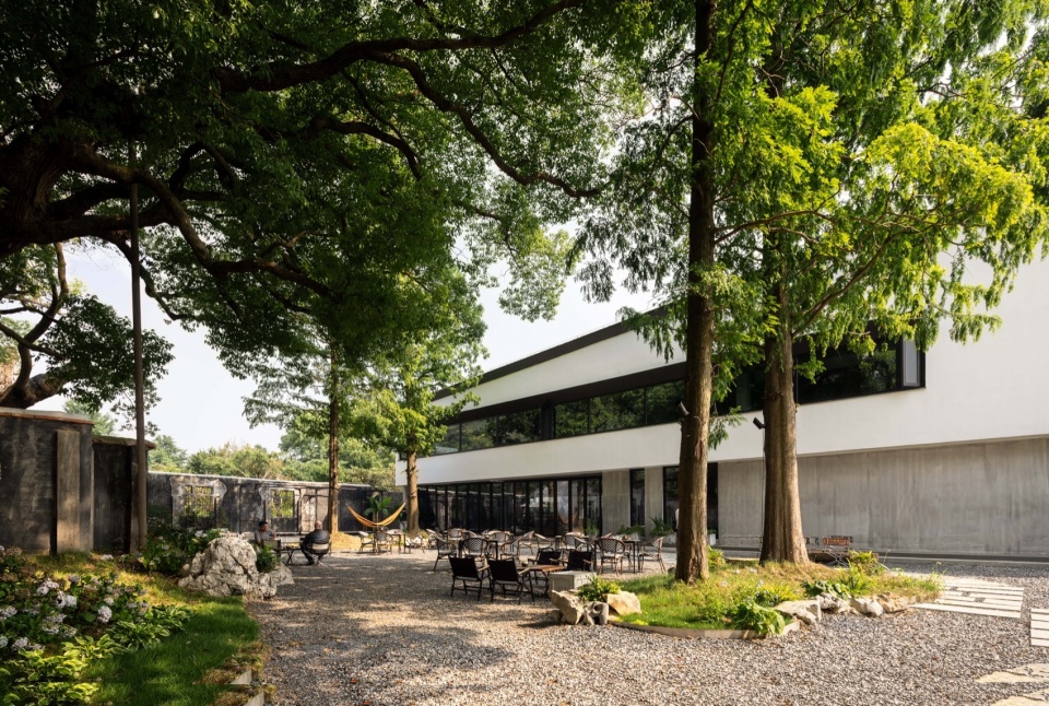 Five Camphor Courtyard