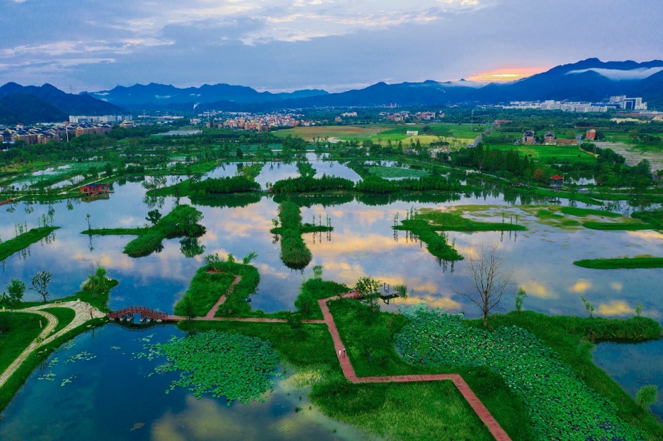 Yangbei Lake Ecological Restoration and Governance Project