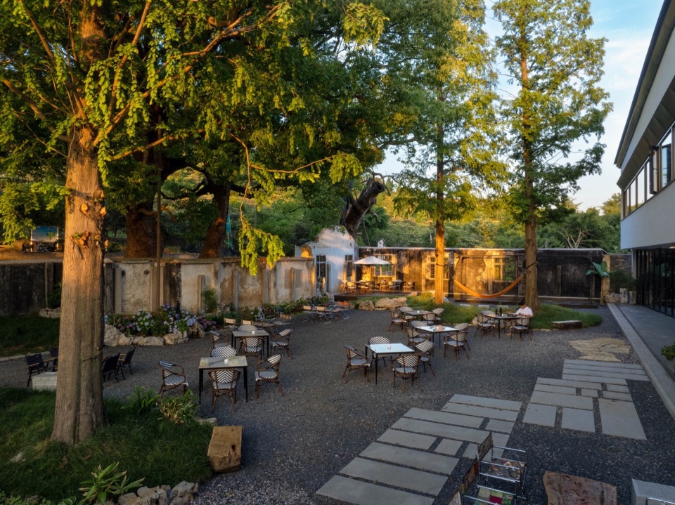 Five Camphor Courtyard