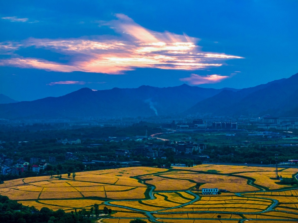Yangbei Lake Ecological Restoration and Governance Project