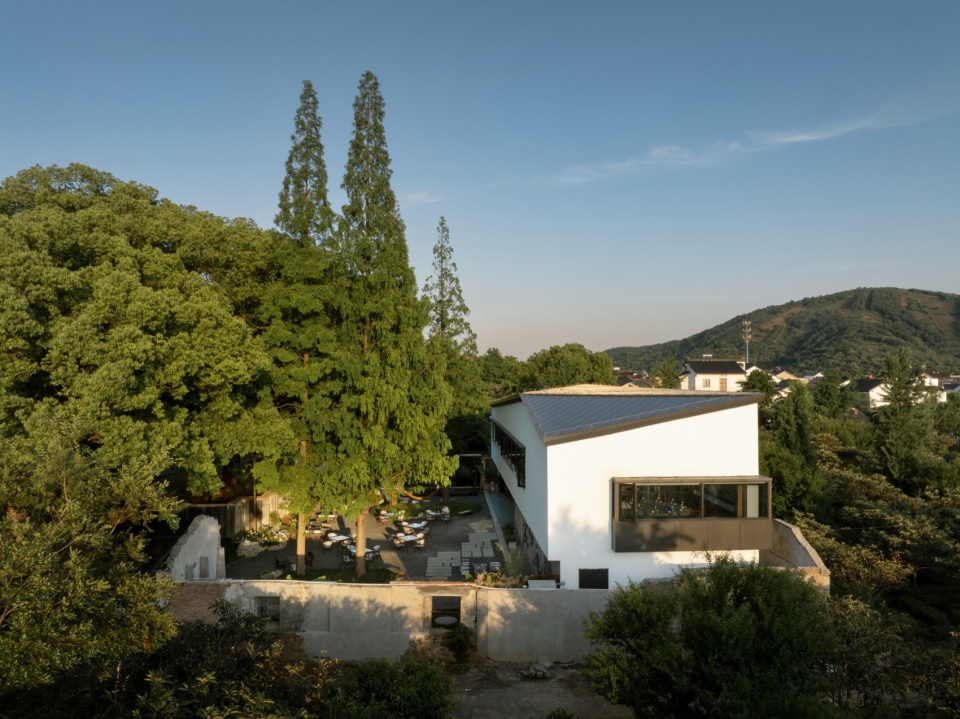 Five Camphor Courtyard