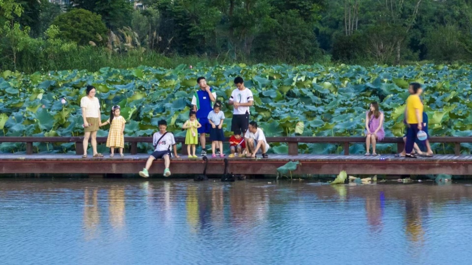 Yangbei Lake Ecological Restoration and Governance Project