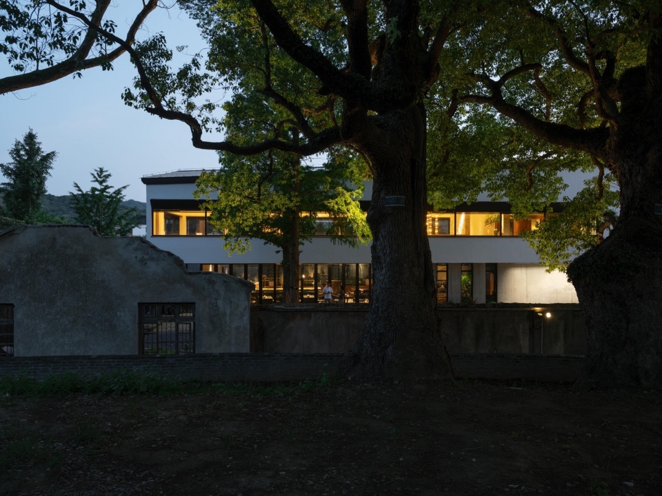 Five Camphor Courtyard