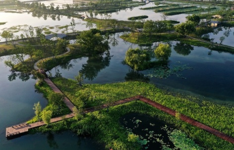 杭州富阳阳陂湖生态修复治理项目（一期） / 中国电建集团华东勘测设计研究院有限公司 + 汉嘉设计集团股份有限公司