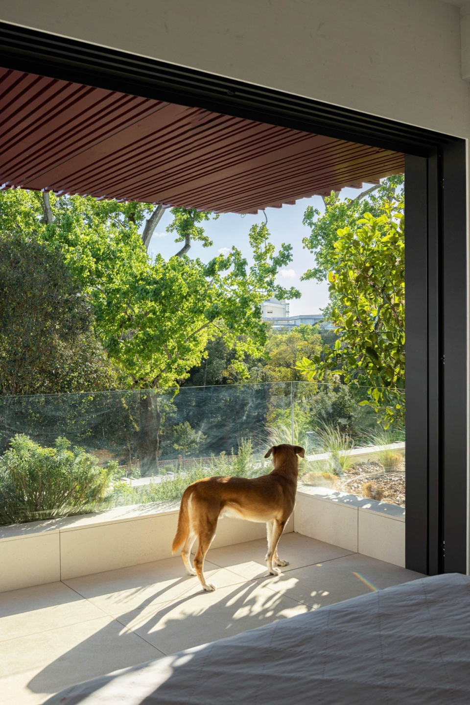 park house by paulo martins arquitectura e design