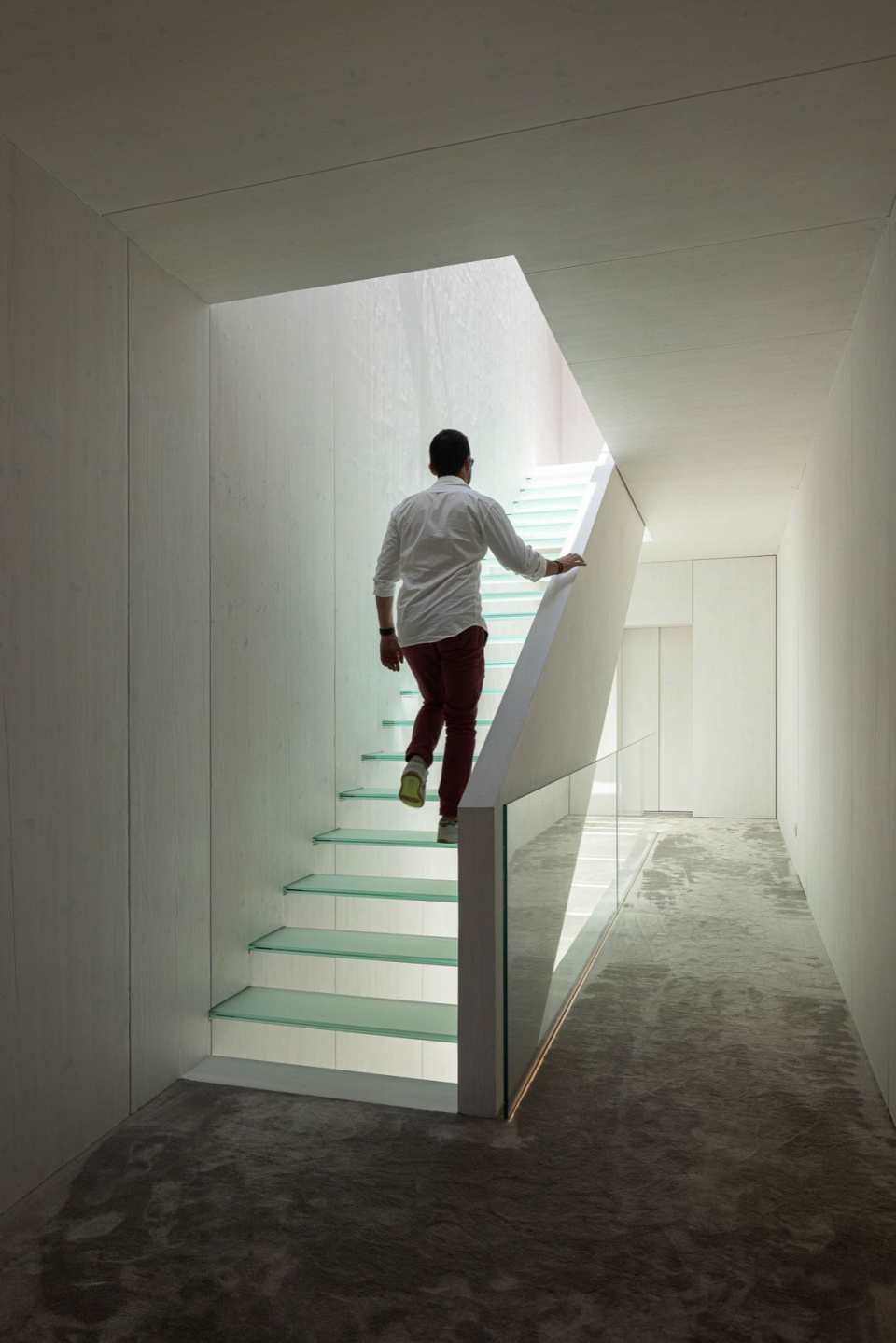 park house by paulo martins arquitectura e design
