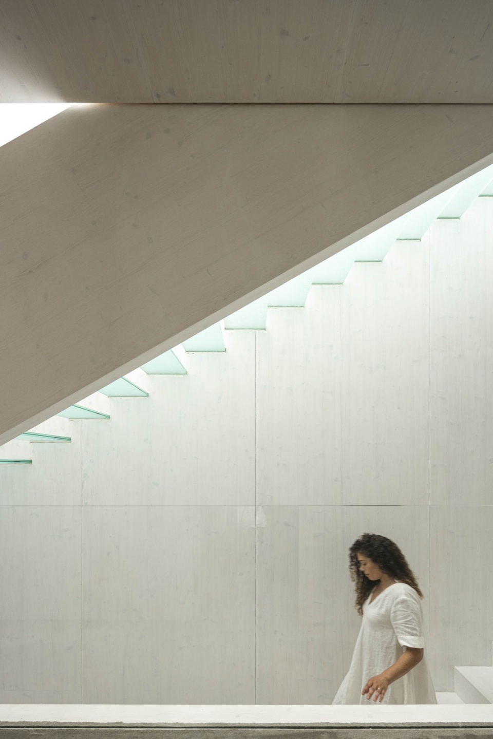 park house by paulo martins arquitectura e design