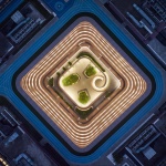 浙大紫金众创小镇 / 浙江大学建筑设计研究院