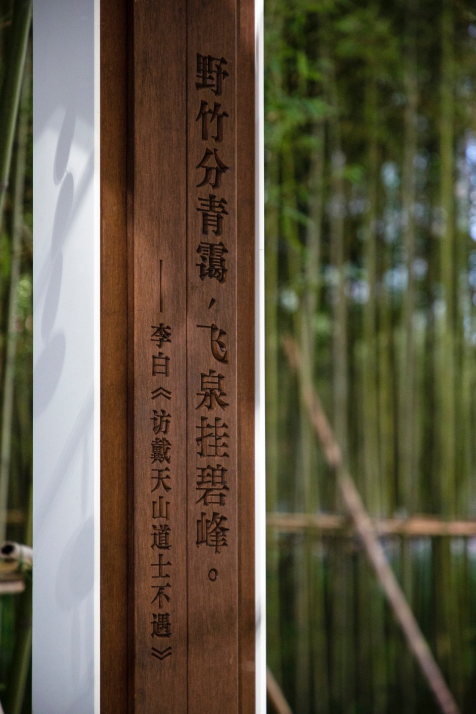 侧壁设置多处竹主题诗歌,Multiple bamboo themed poems are set up on the side walls©埊木设计(CAFA·A城市艺术创新中心)