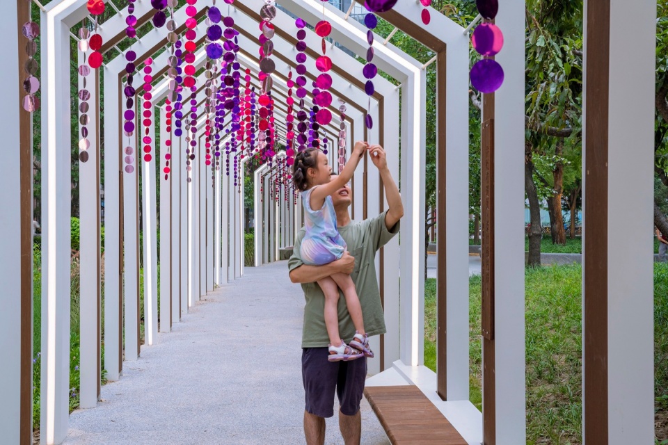 市民与紫藤的互动,the interaction between citizens and wisteria ©金伟琦