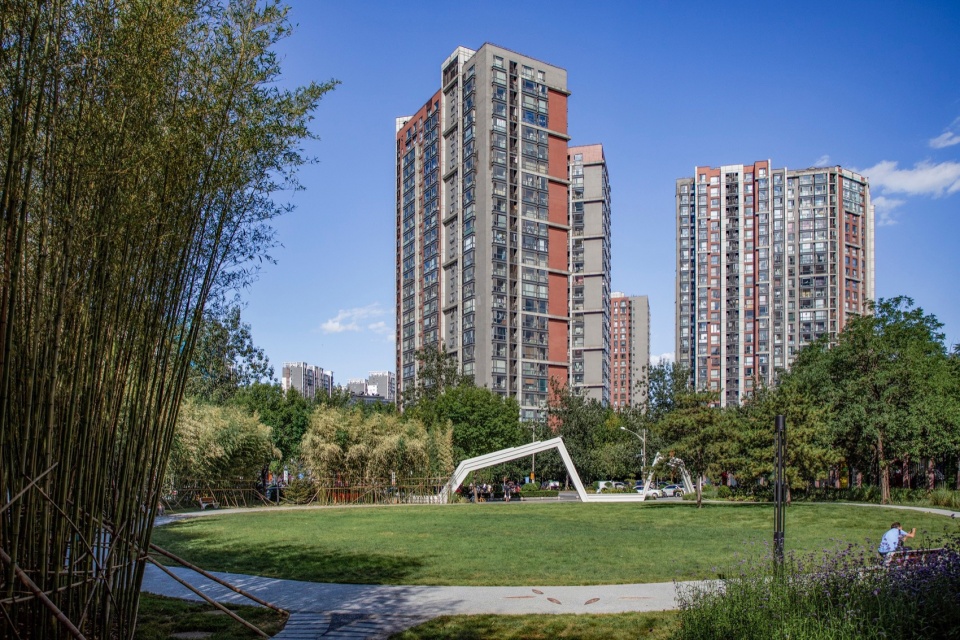 正对主入口的圆形草坪,circular lawn facing the main entrance©埊木设计(CAFA·A城市艺术创新中心)