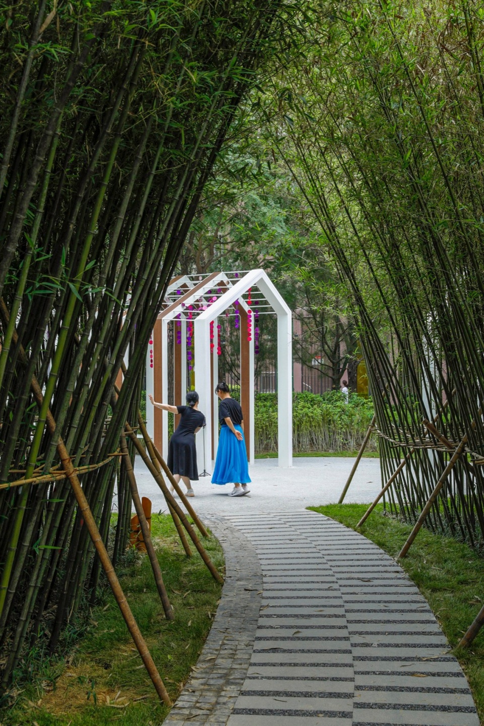 竹林景色,bamboo grove scenery ©金伟琦01