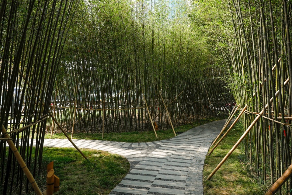 阜园景色,FuYuan scenery ©金伟琦02