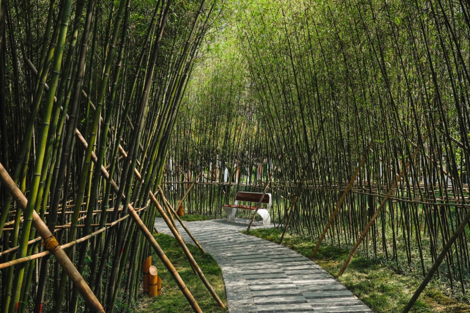 阜园概览,overview of FuYuan ©金伟琦04