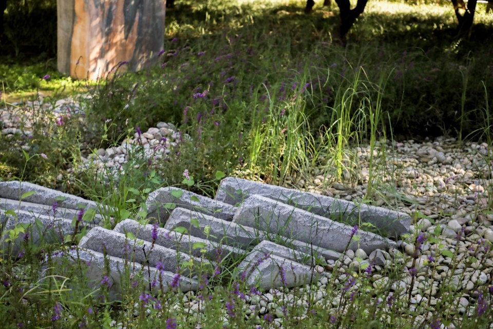 雨水花园中利旧回用的石头,recycled old stones in the rain garden ©埊木设计(CAFA·A城市艺术创新中心)