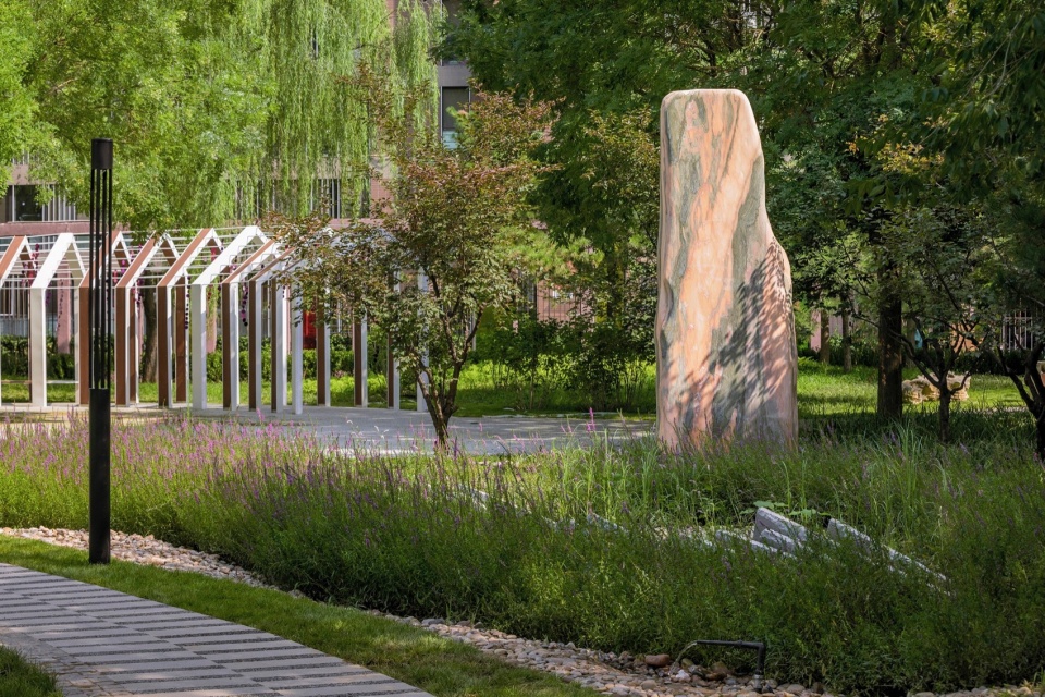 雨水花园景色,the rain garden scenery ©金伟琦01