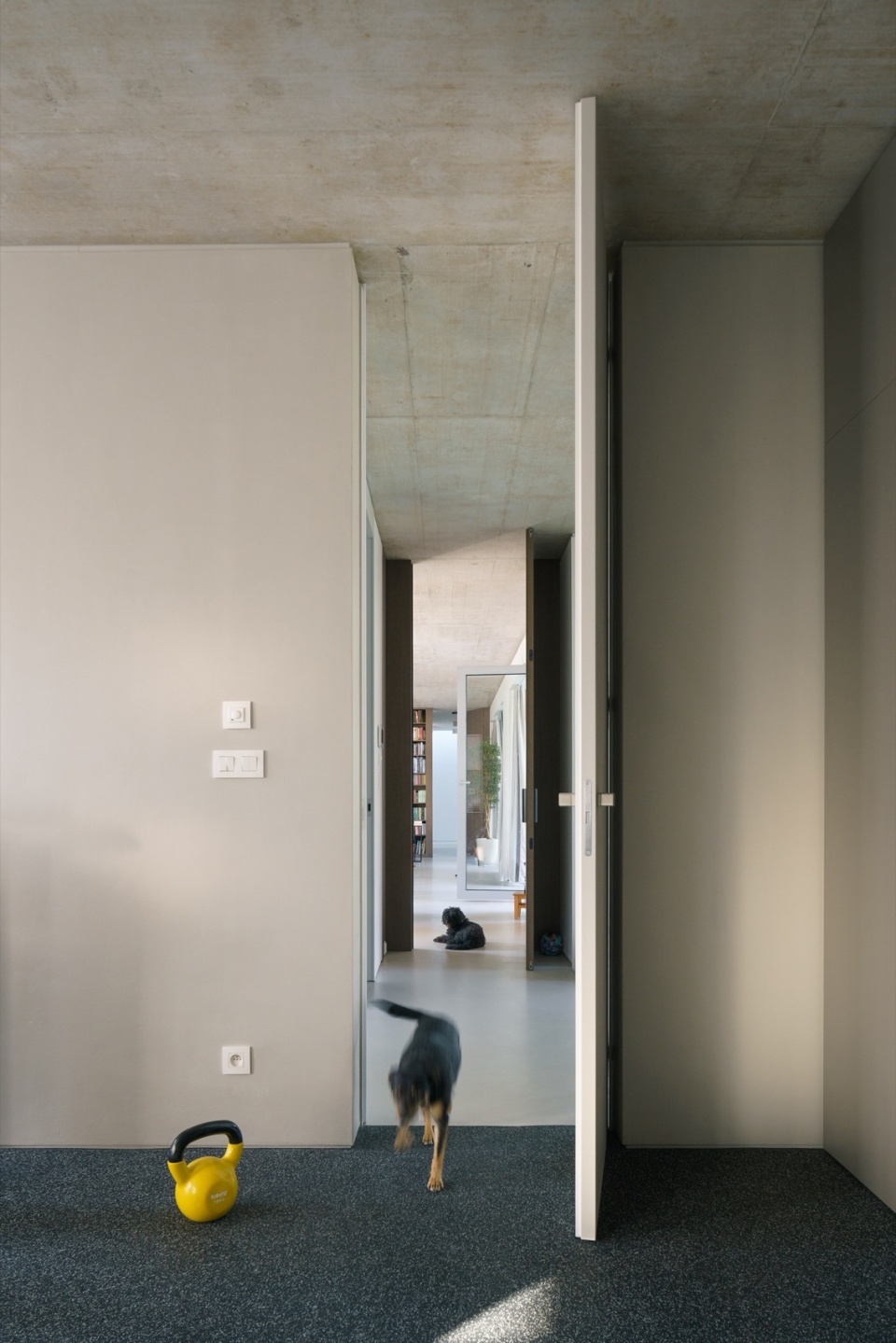 rdo house by cechvala architects