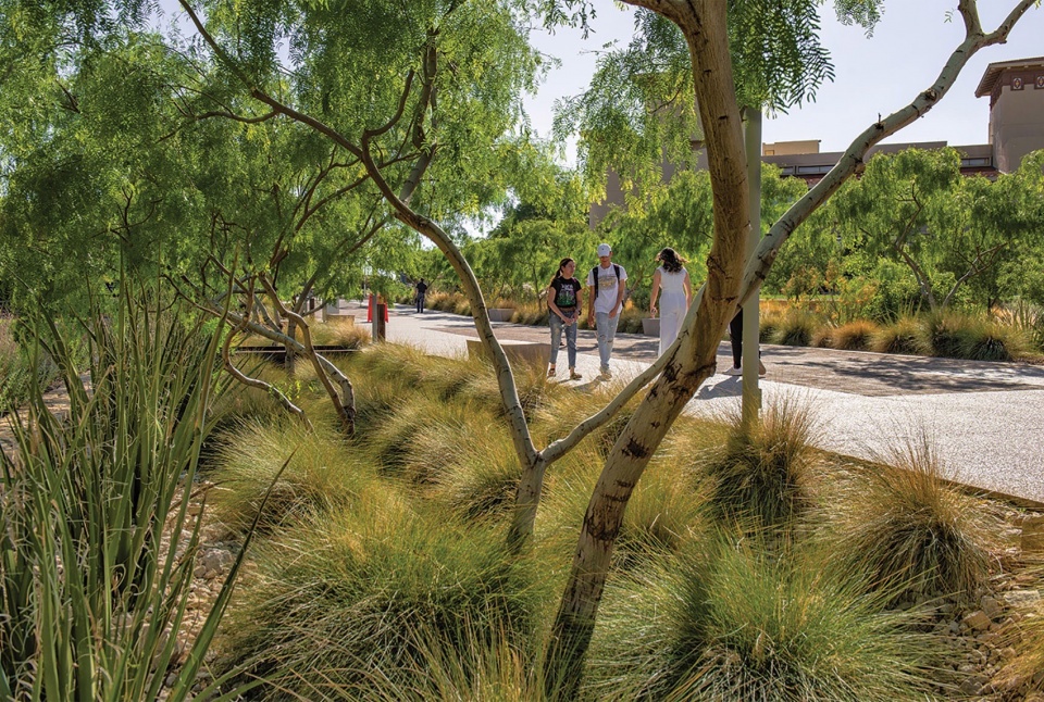 The University of Texas at El Paso Transformation by Ten Eyck Landscape Architects Inc