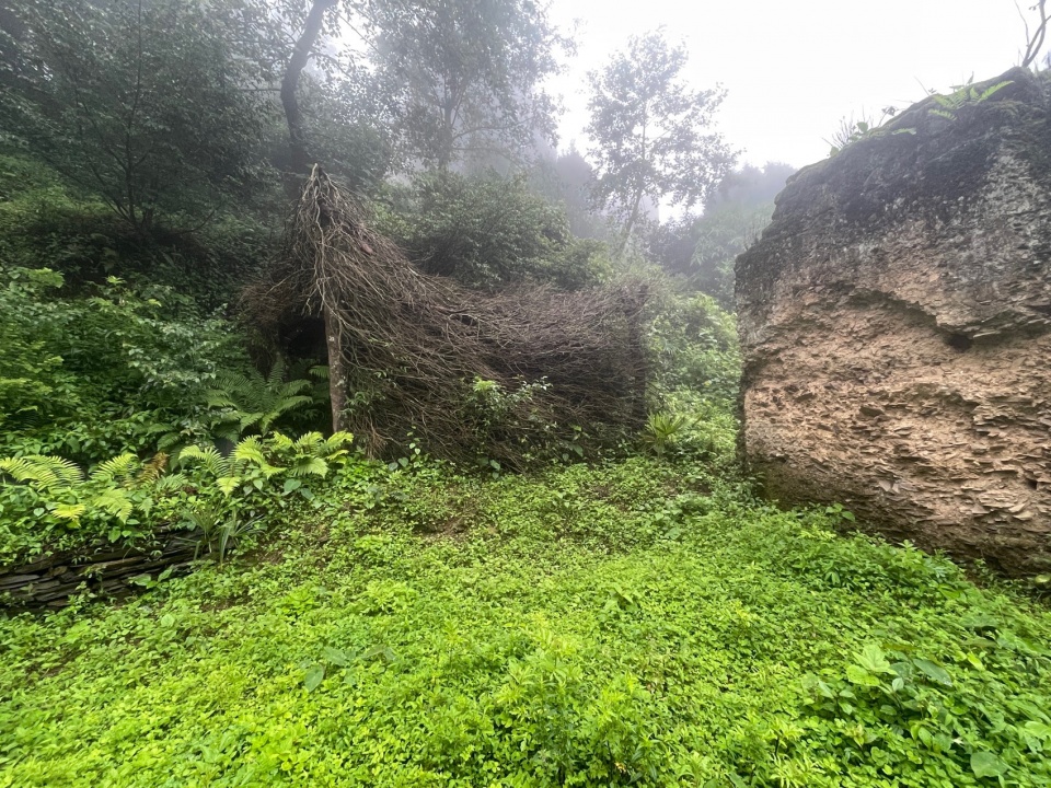 夏日的风之茶亭 windy tea pavilion