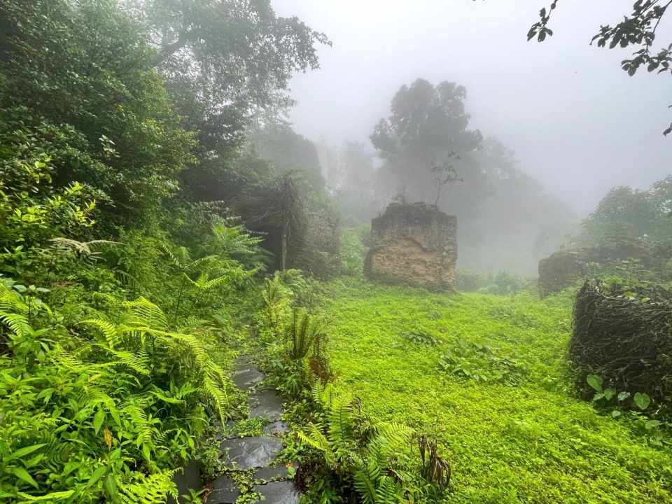雾中的风之茶亭 windy tea pavilion