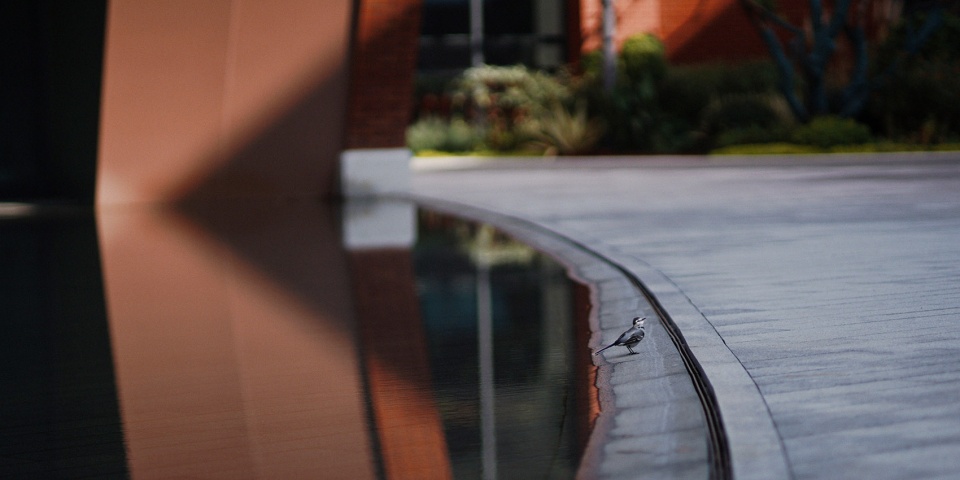 basis international school wuhan by