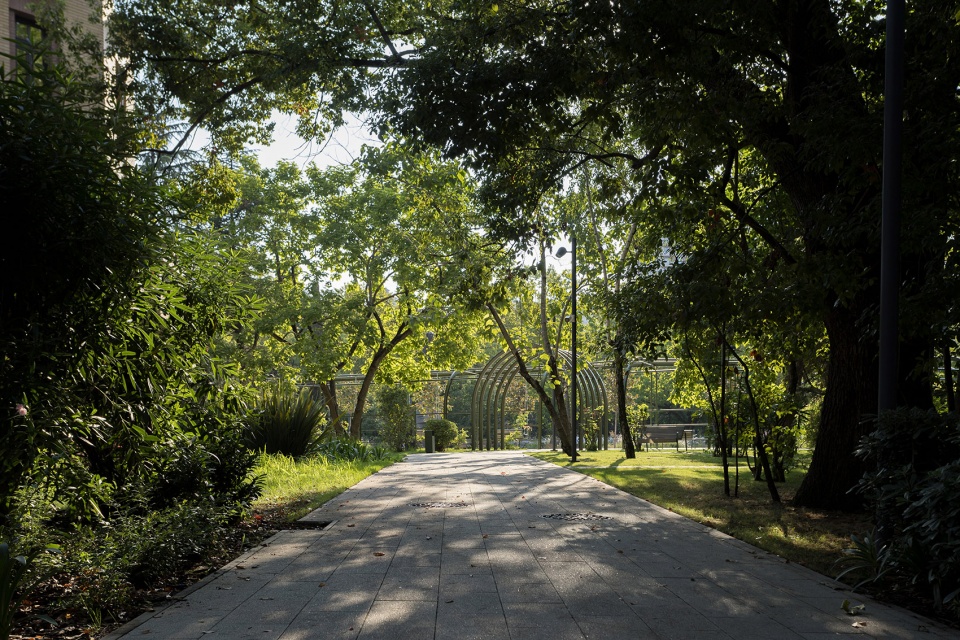 stereo park landscape in sochi by utro