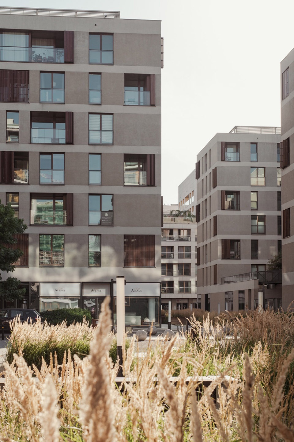 19th District by JEMS Architects studio