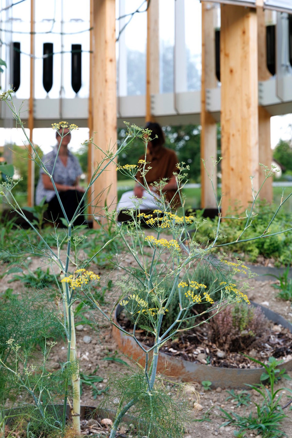 AirBubble restorative space by ecoLogicStudio
