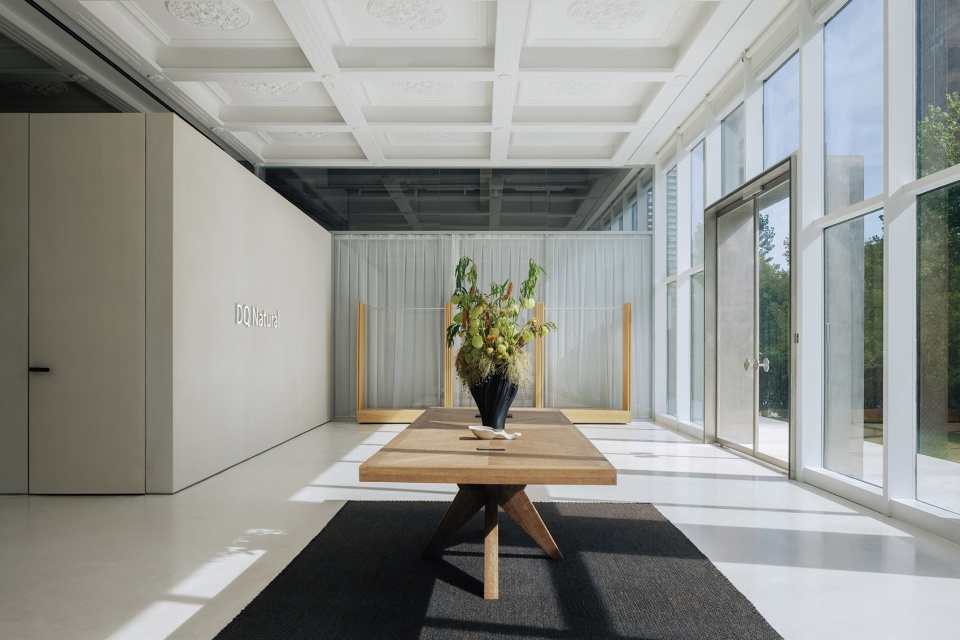 dq natural by unknown design