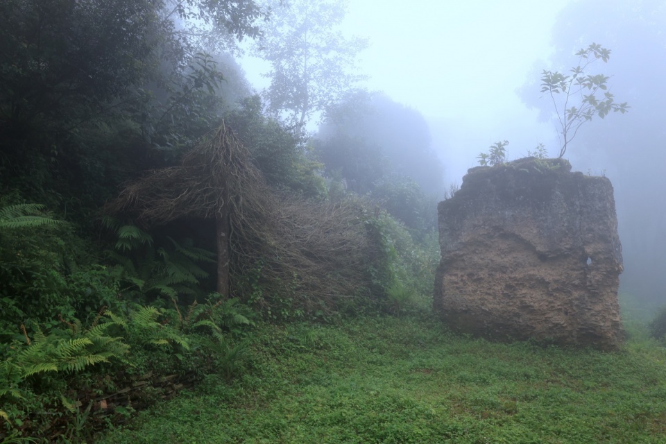 浓雾中的茶亭 windy tea pavilion