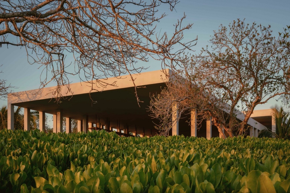 BRANDILERA HOUSE MANUEL CERVANTES ESTUDIO JAMES PERSE