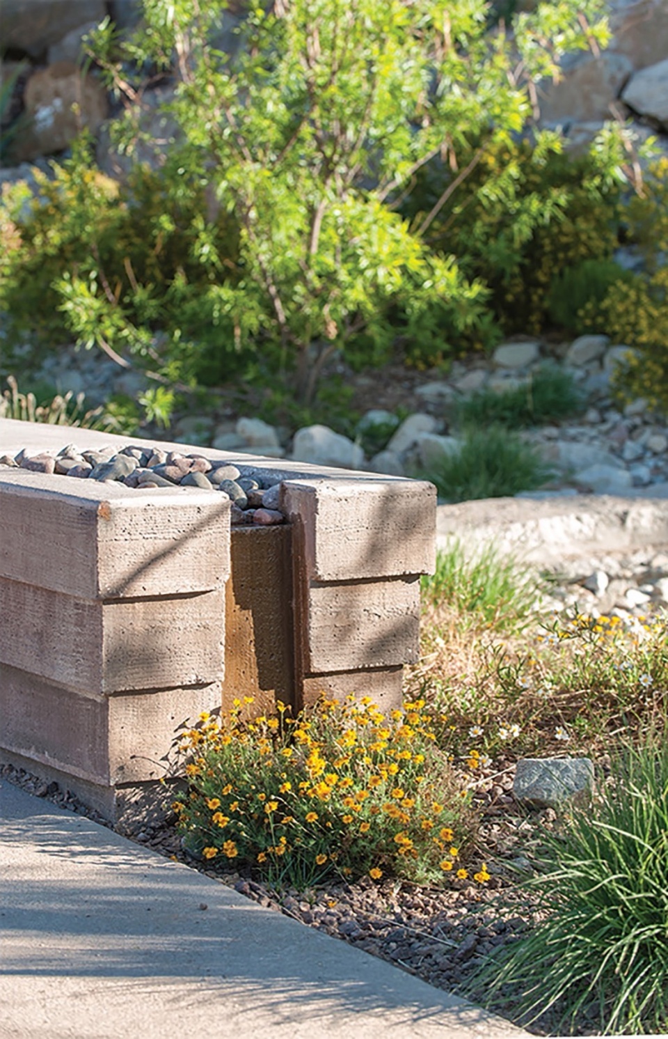 The University of Texas at El Paso Transformation by Ten Eyck Landscape Architects Inc