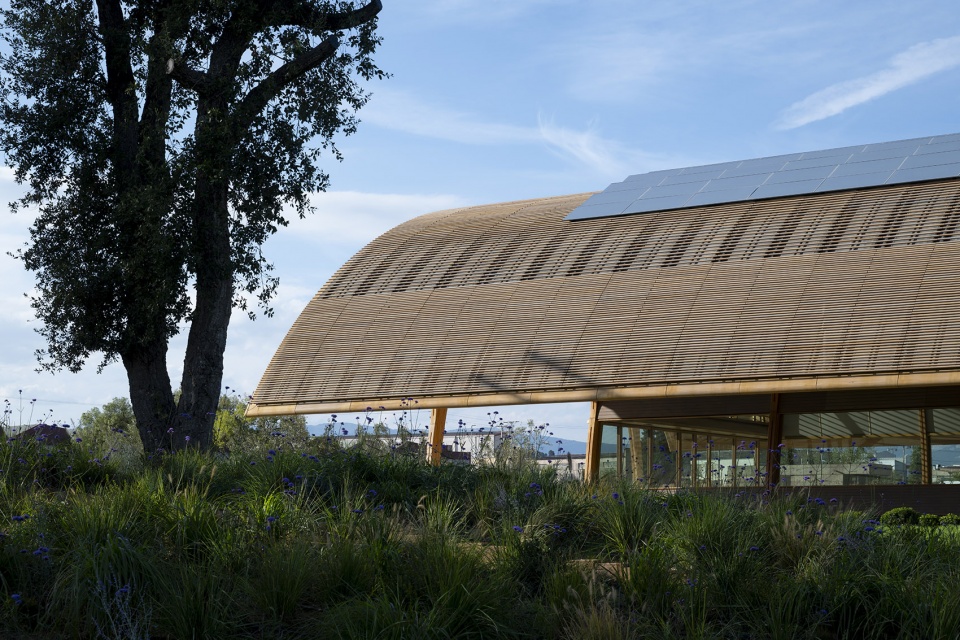 extension of bodegas faustino winery by foster partners