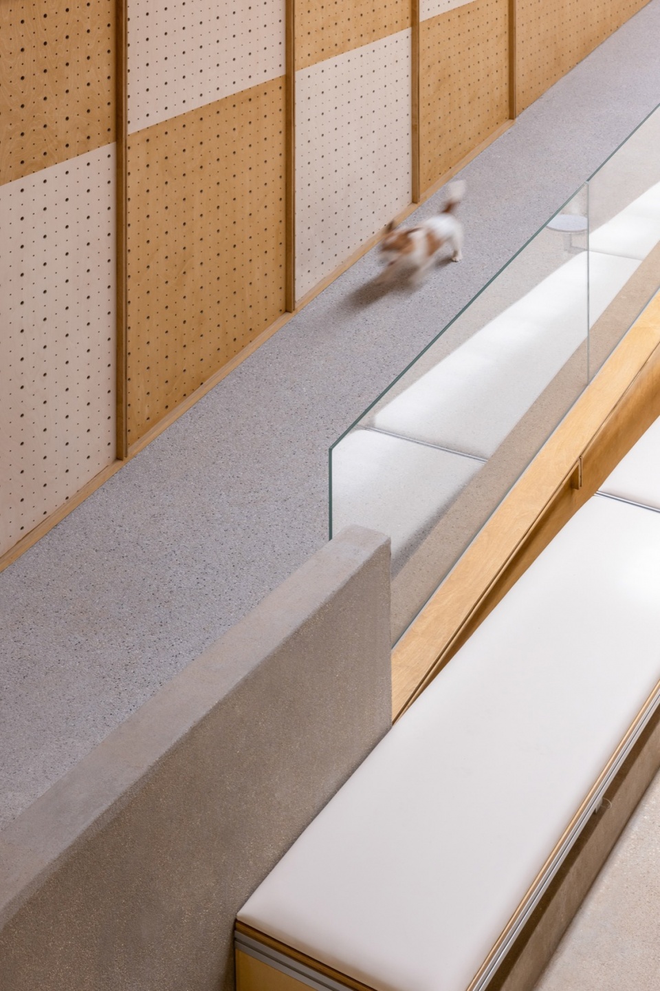© 黑水 healing pets by informal design