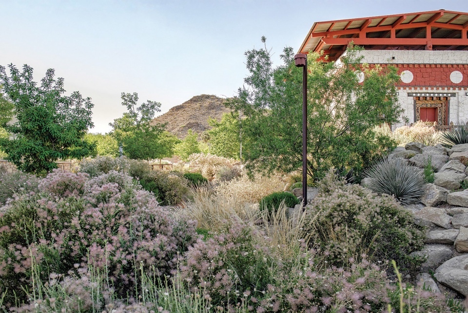 The University of Texas at El Paso Transformation by Ten Eyck Landscape Architects Inc