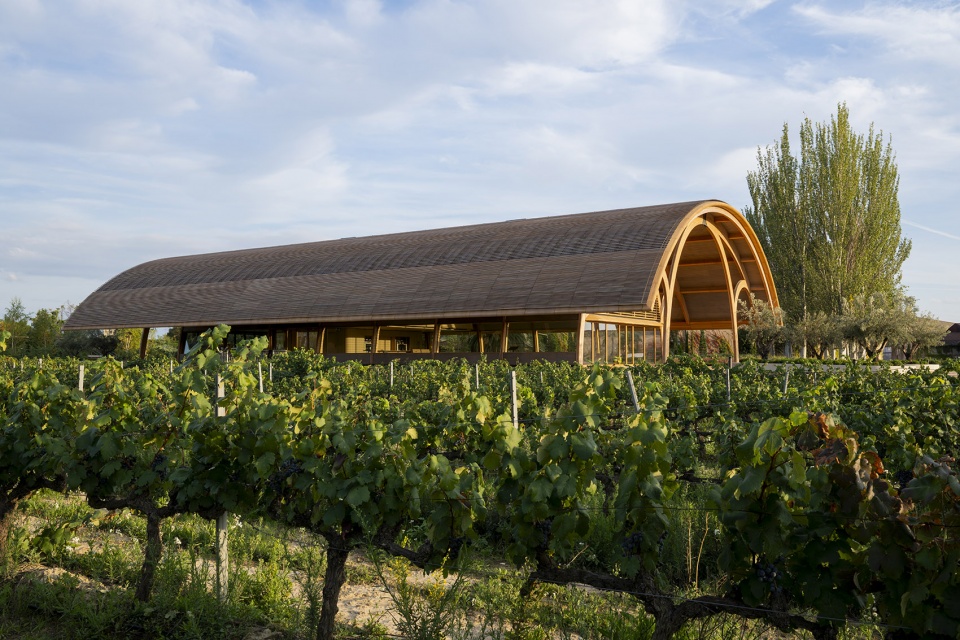 extension of bodegas faustino winery by foster partners