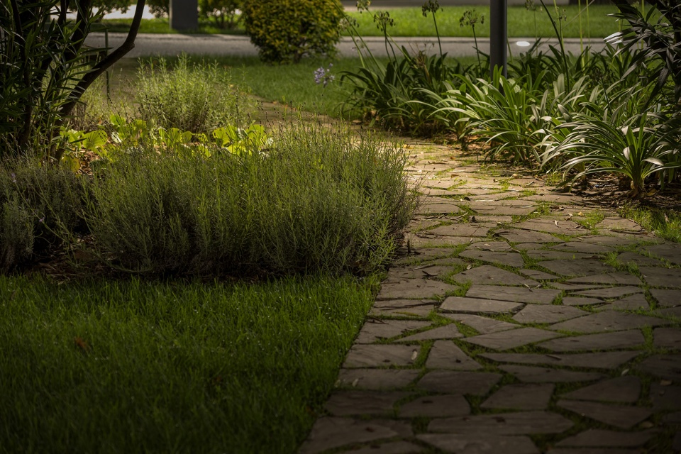 stereo park landscape in sochi by utro
