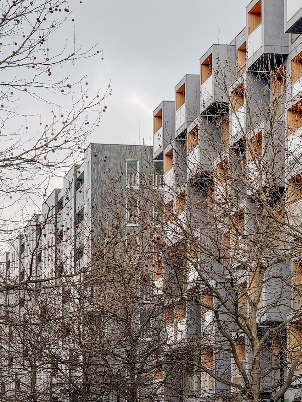 19th District by JEMS Architects studio