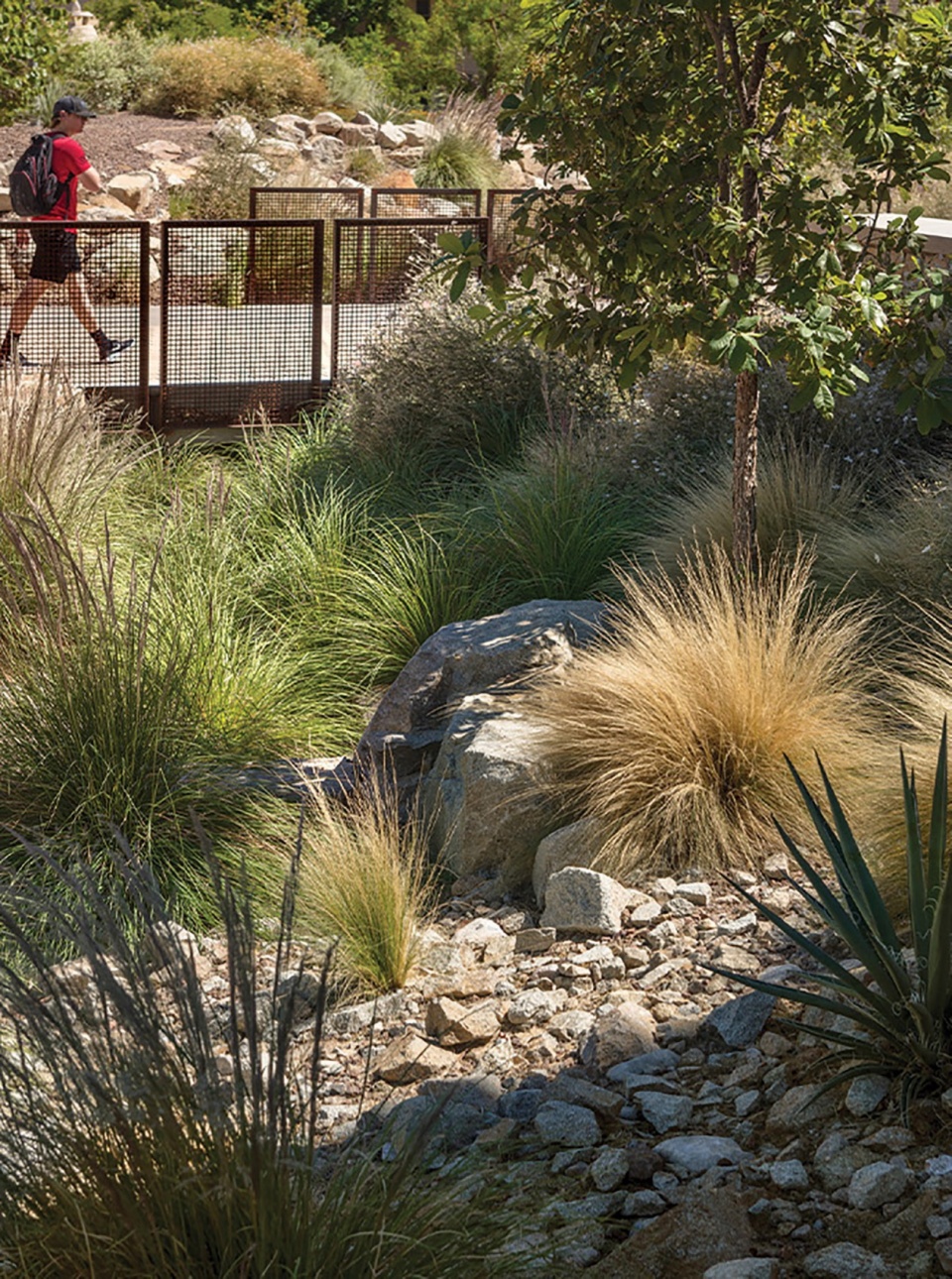 The University of Texas at El Paso Transformation by Ten Eyck Landscape Architects Inc