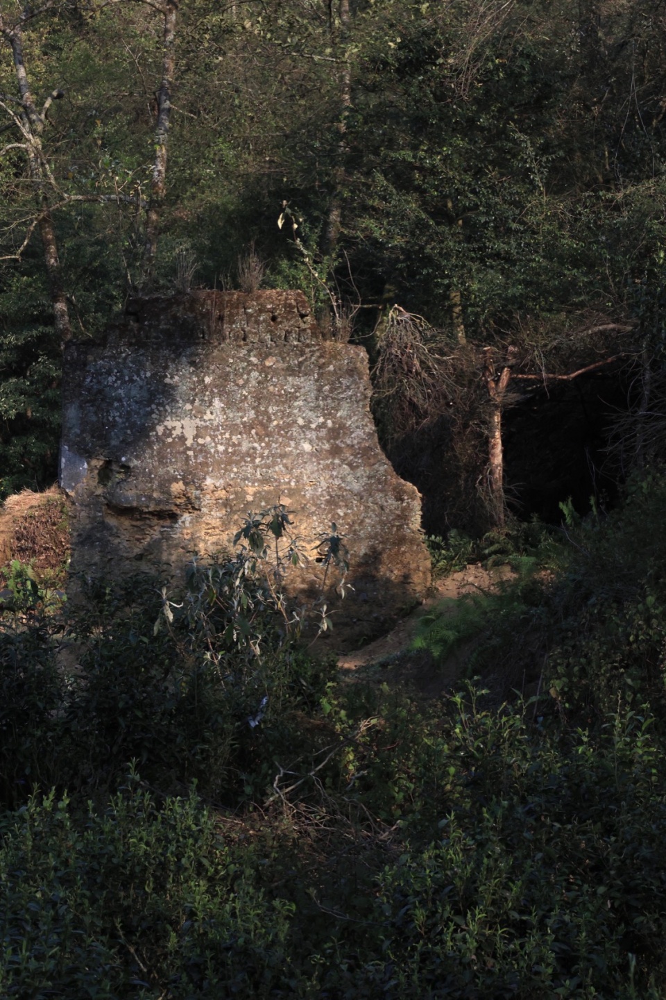 土墙与风之茶亭 windy tea pavilion