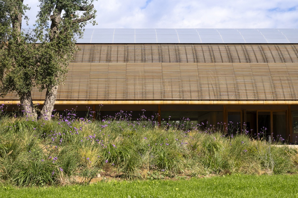 extension of bodegas faustino winery by foster partners