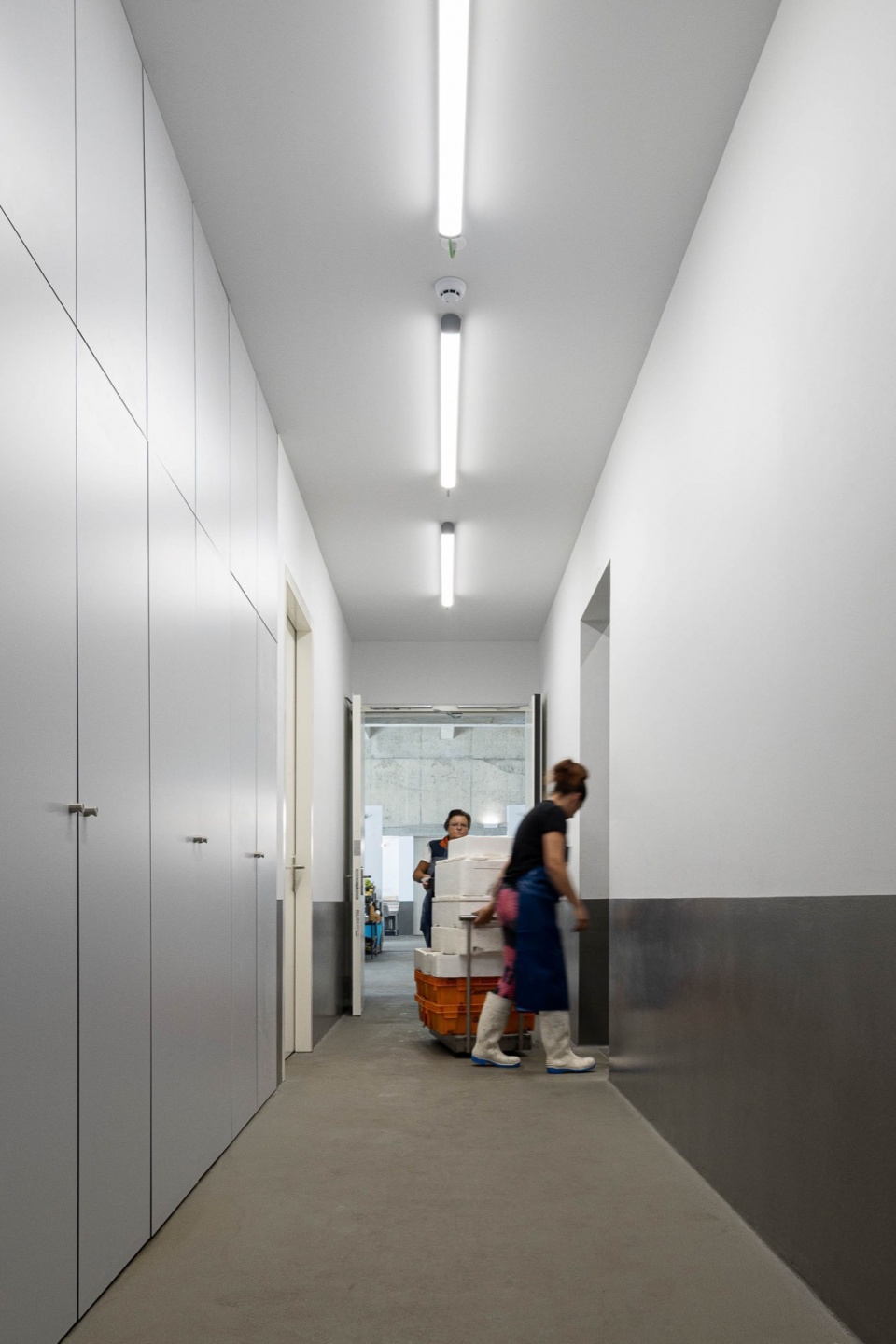 MERCADO CAMINHA Loftspace and Tiago Sousa Arquiteto