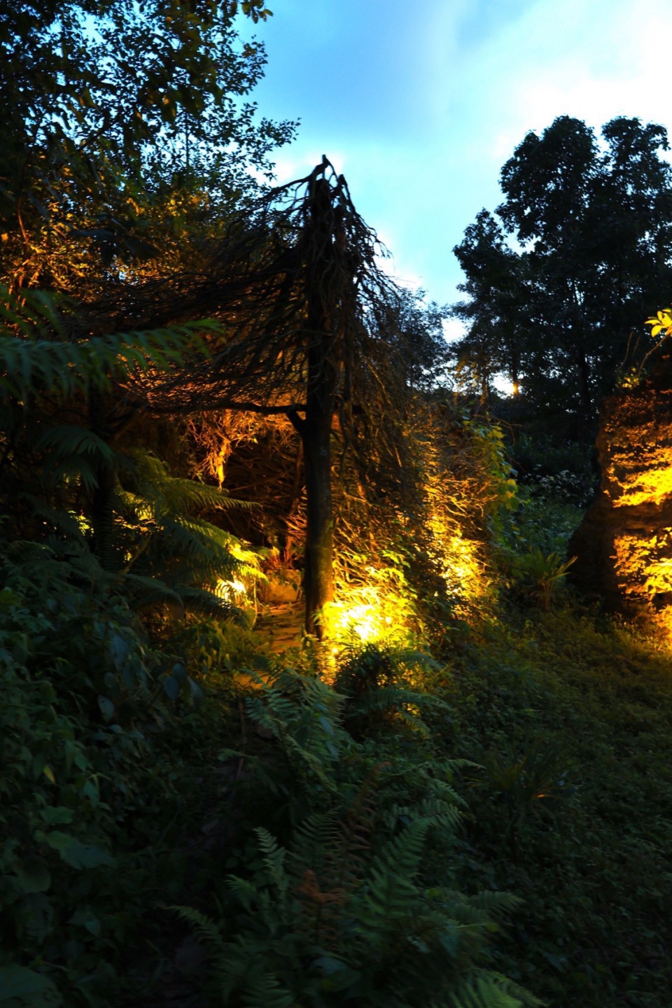 暮色中的茶亭 windy tea pavilion