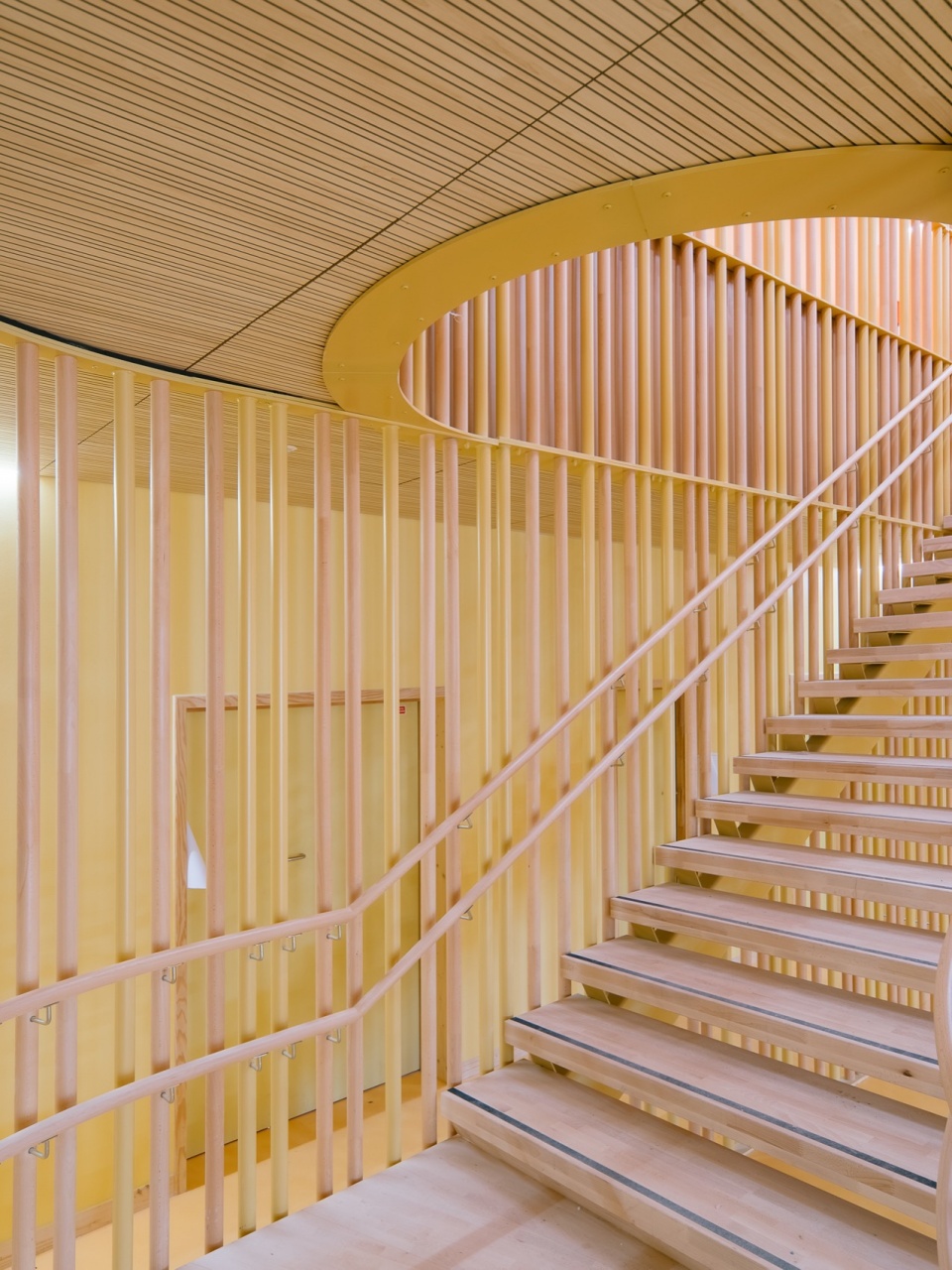 Oiseau Lyre by r2k architect