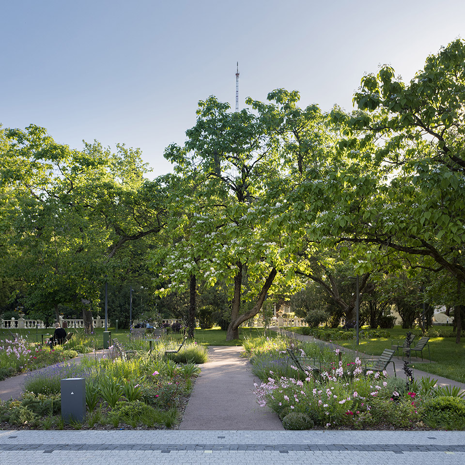stereo park landscape in sochi by utro