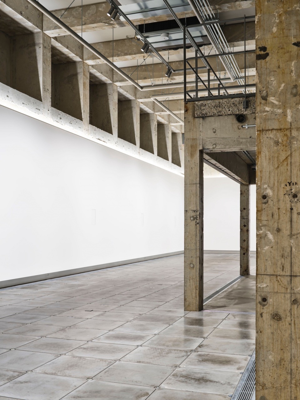 Kuwasawa design School 2 moss